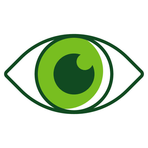 Eye Green Dark Green Icon